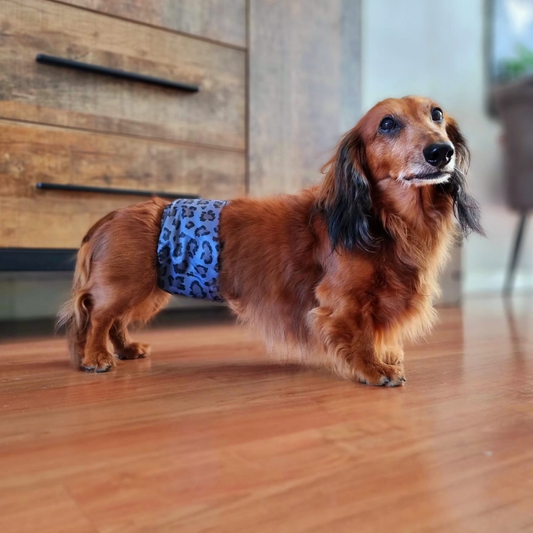 Hondenluier Leo grijs