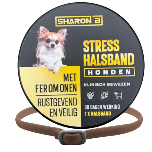 Stresshalsband Hond