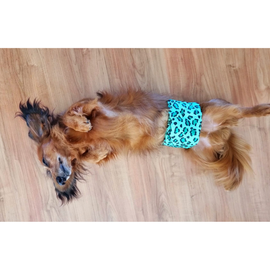 Hondenluier Leo groen