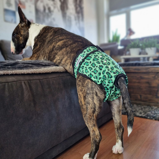 Heat pants Leo green