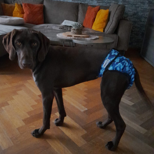 Camo blue heat pants