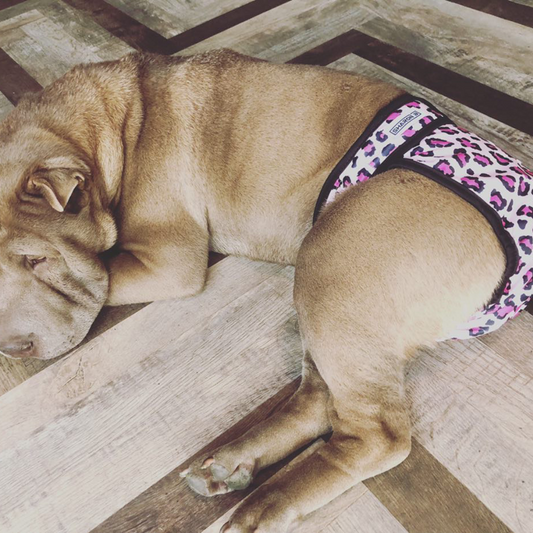 Heat Pants Leopard Pink