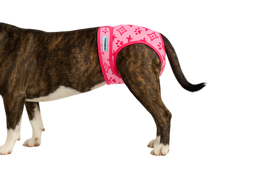 Heat pants Monogram pink