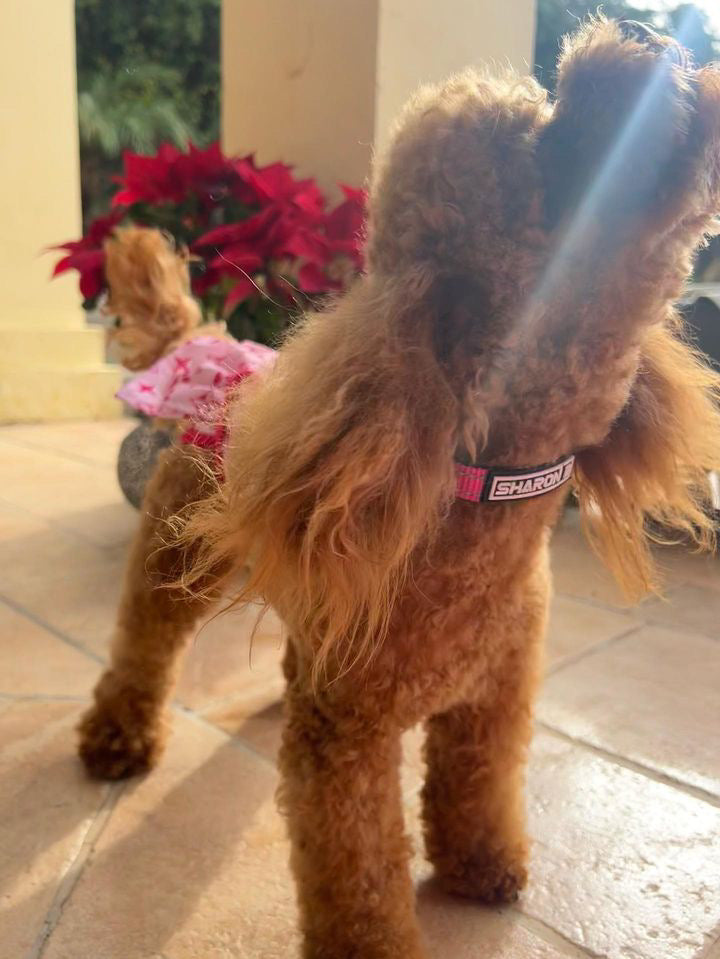 Loopsheidrokje Monogram Roze