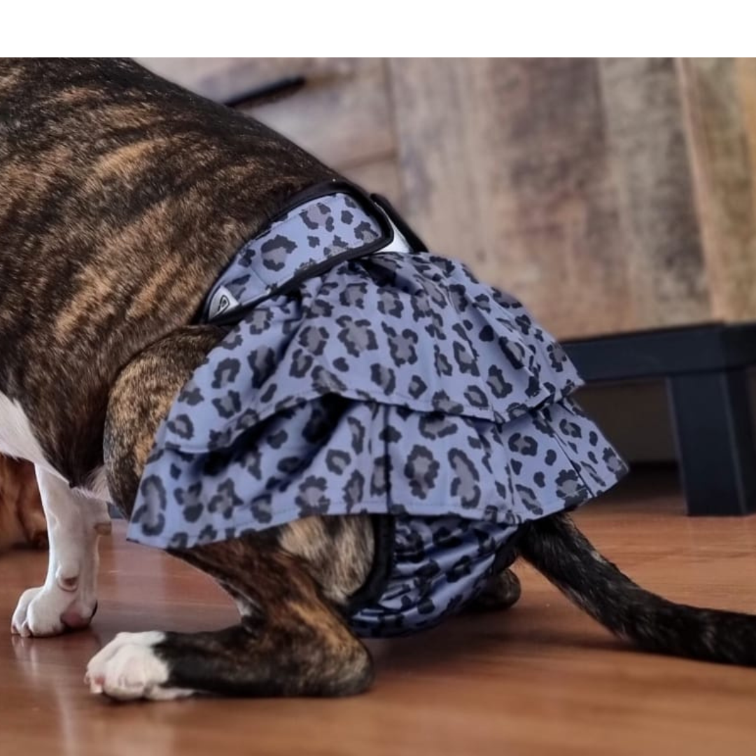 Loopsheidrokje Leo grijs