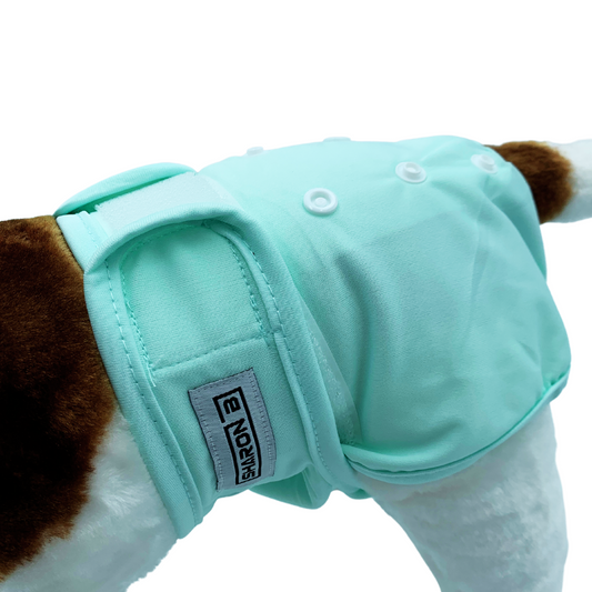 Mint green heat pants