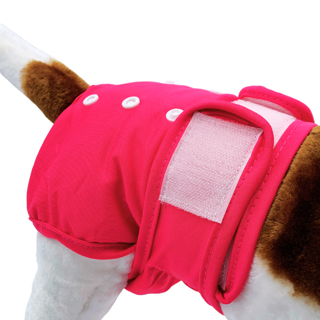 Loopsheidbroekje Roze