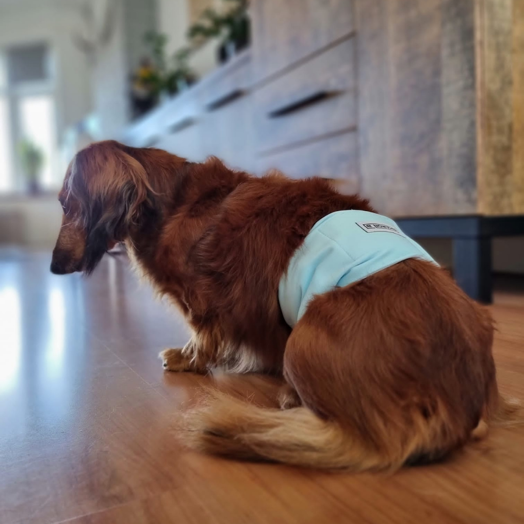 Hondenluier Mint groen