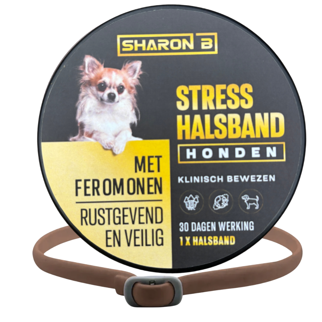 Stresshalsband Hond