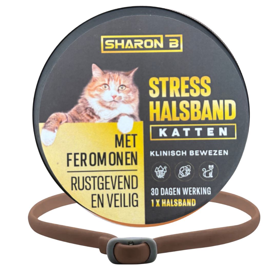 Stresshalsband Kat