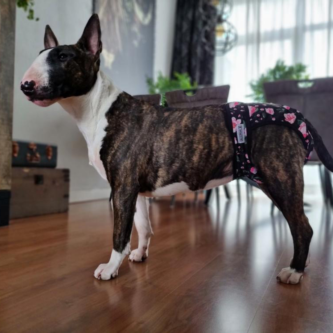 Loopsheidbroekje Roosjes