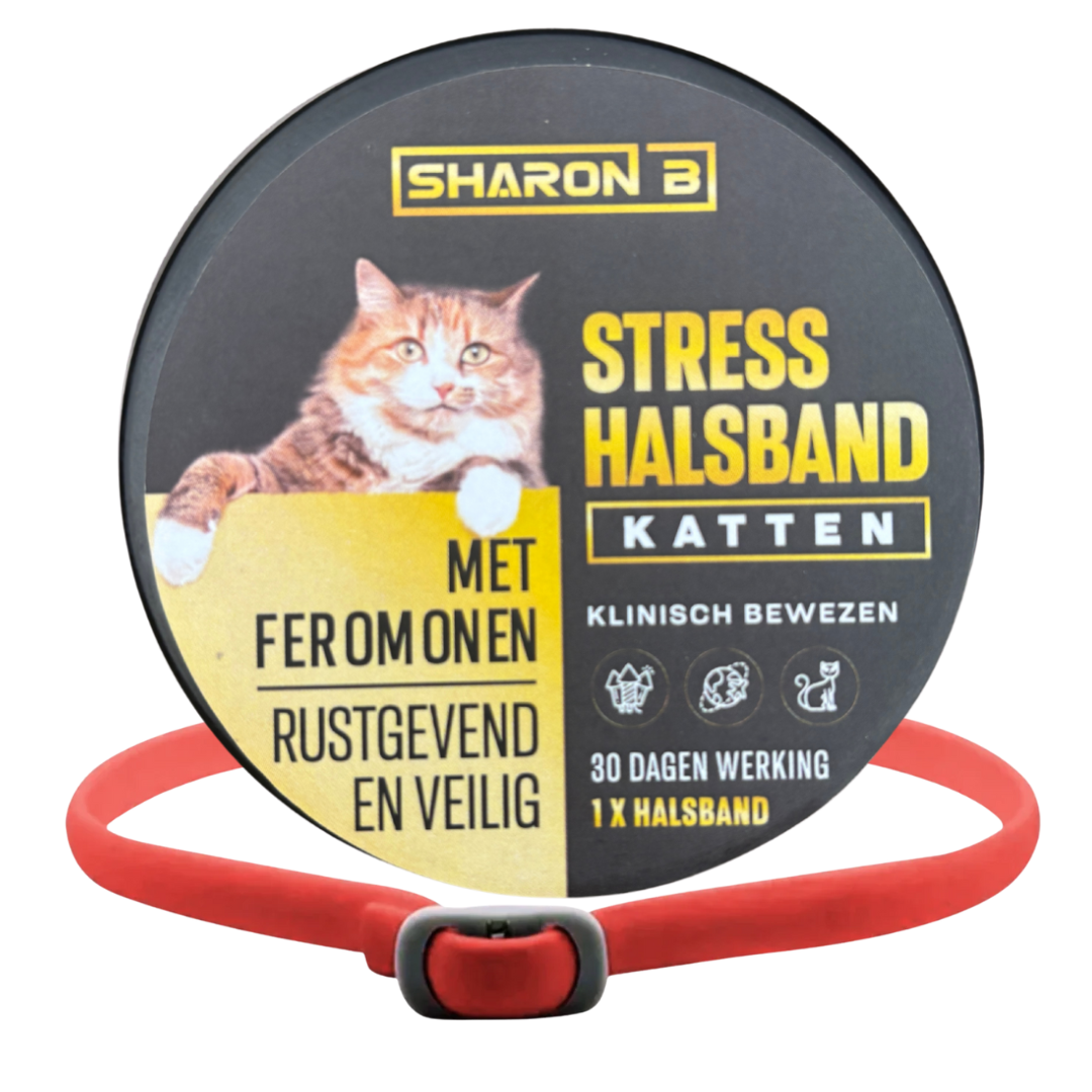 Stresshalsband Kat