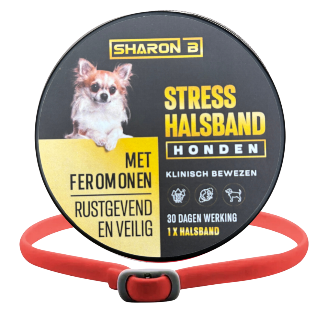 Stresshalsband Hond