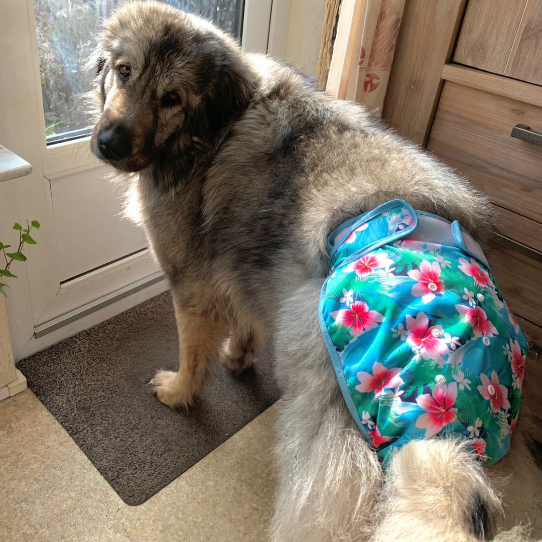 Loopsheidbroekje Magnolia