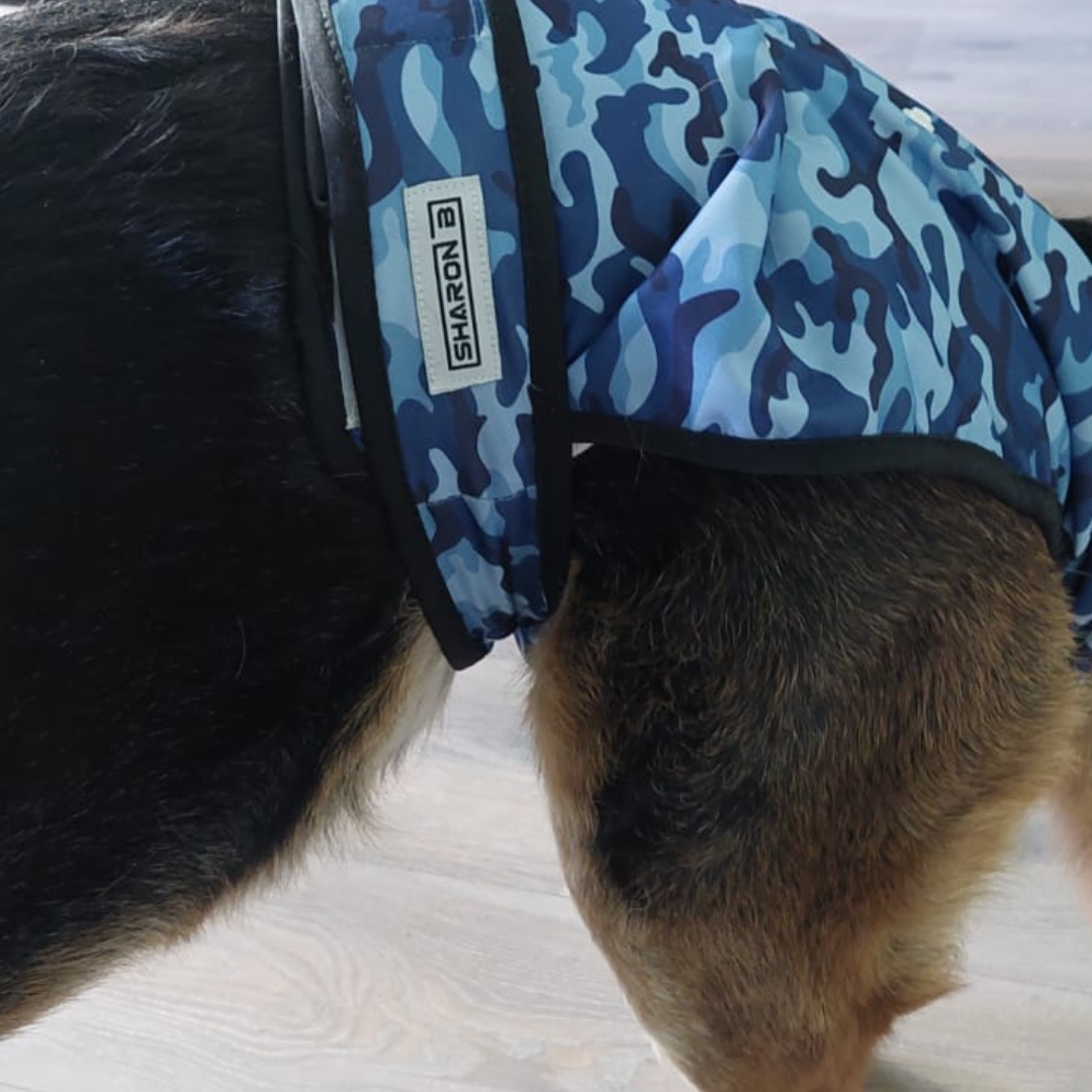 Camo blue heat pants