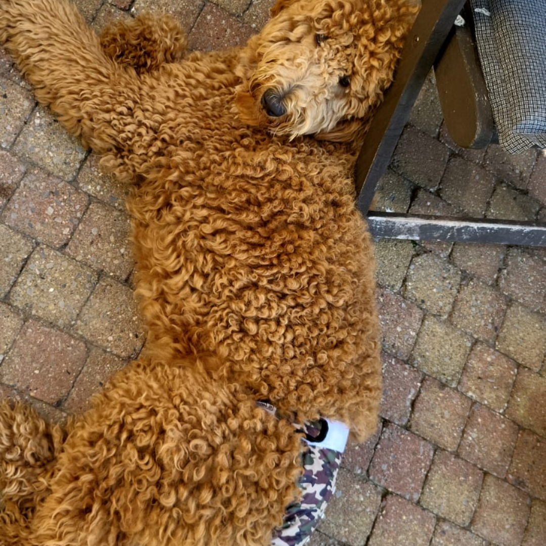 Heat pants camo green