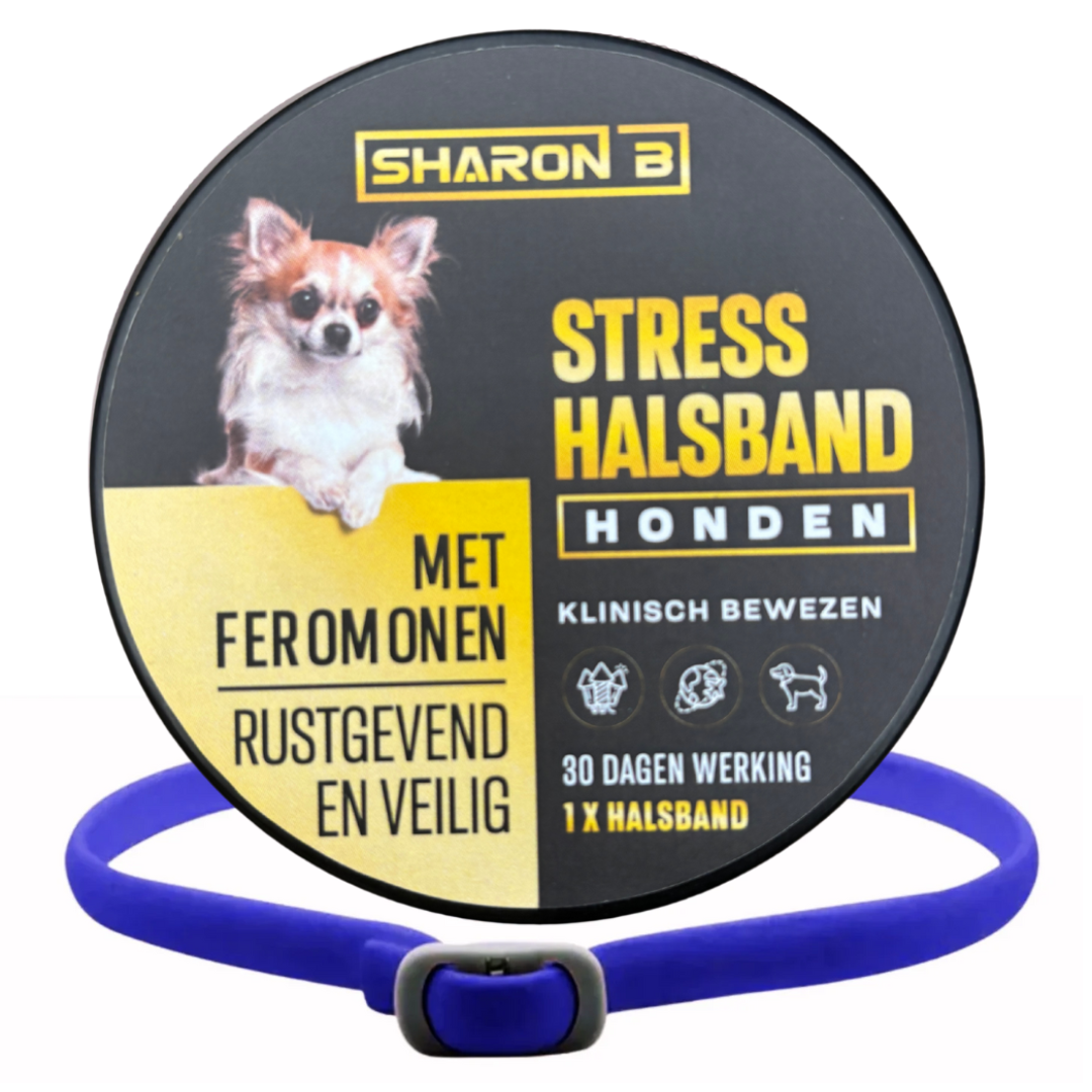 Stresshalsband Hond
