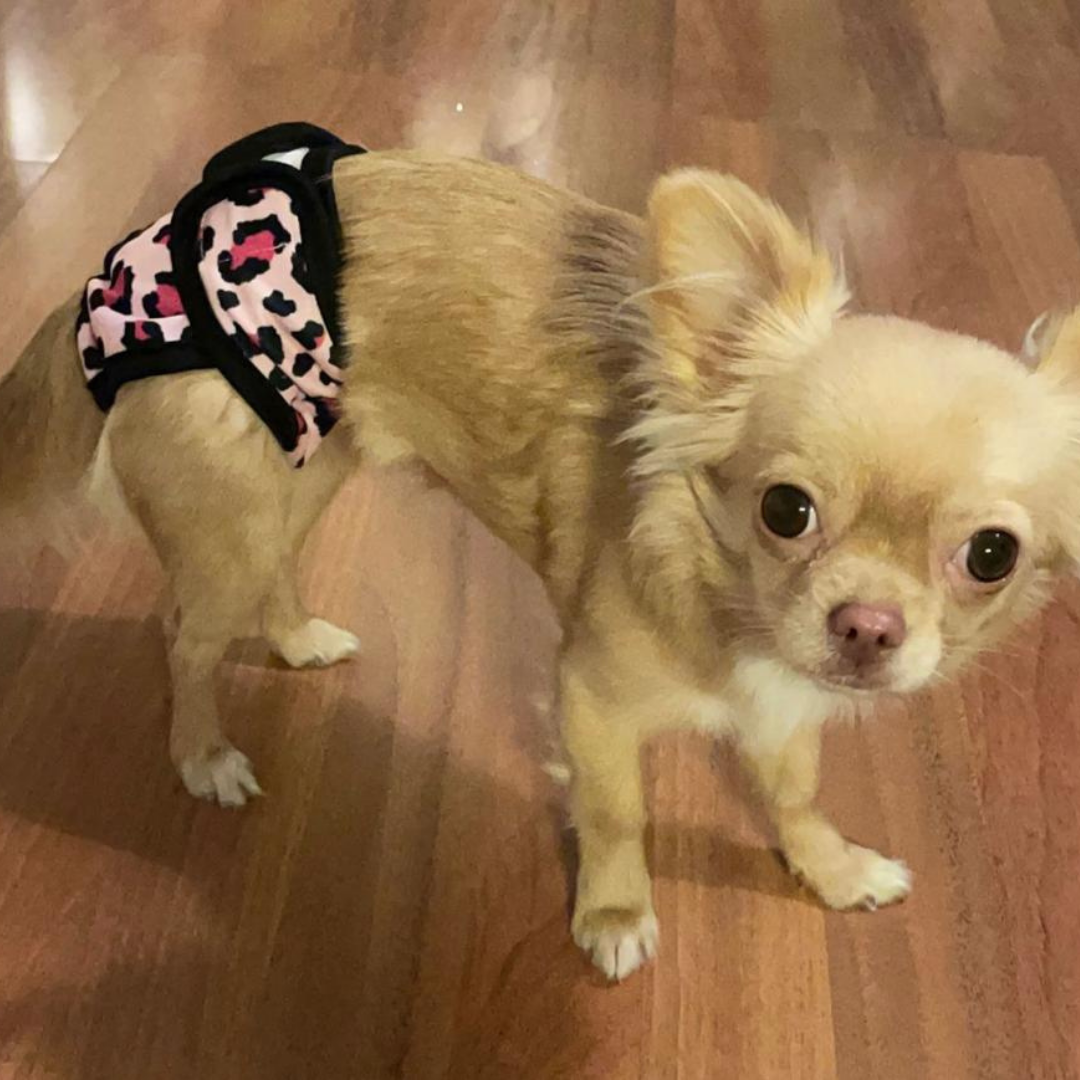 Loopsheidbroekje Leopard Roze