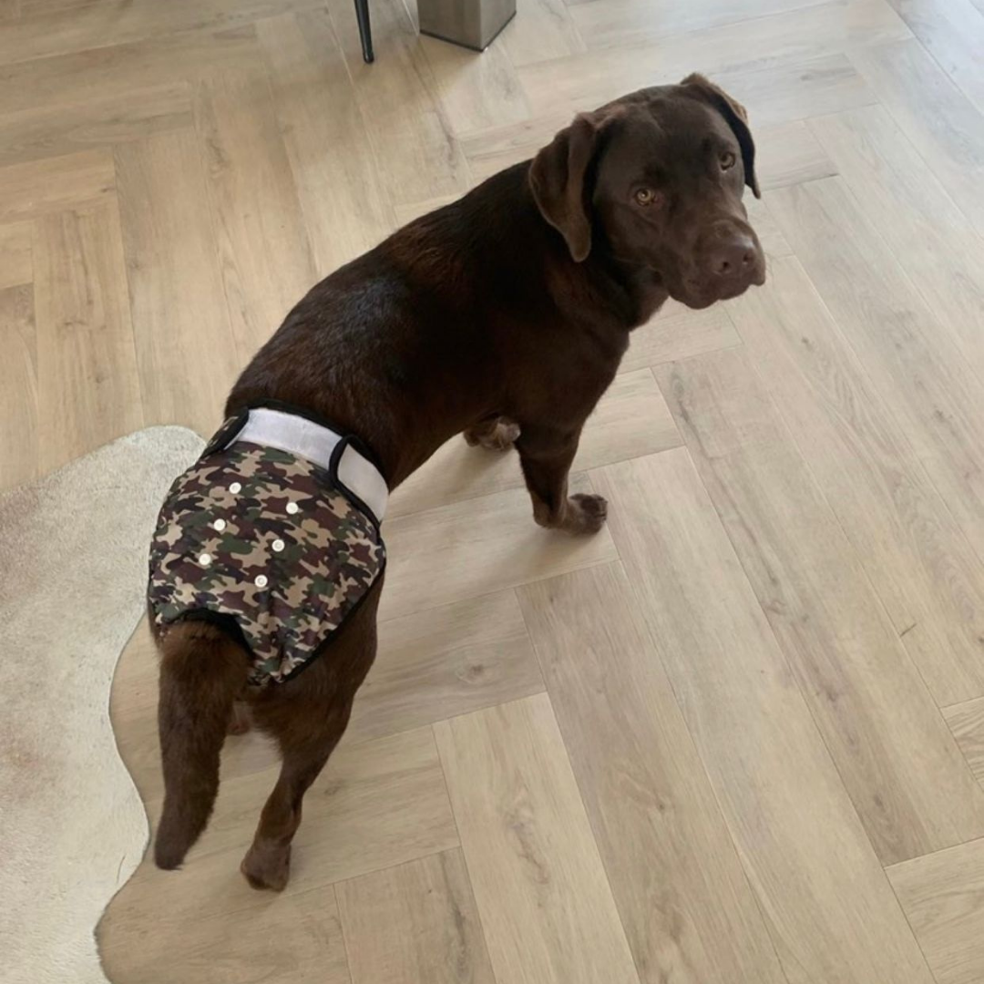 Heat pants camo green