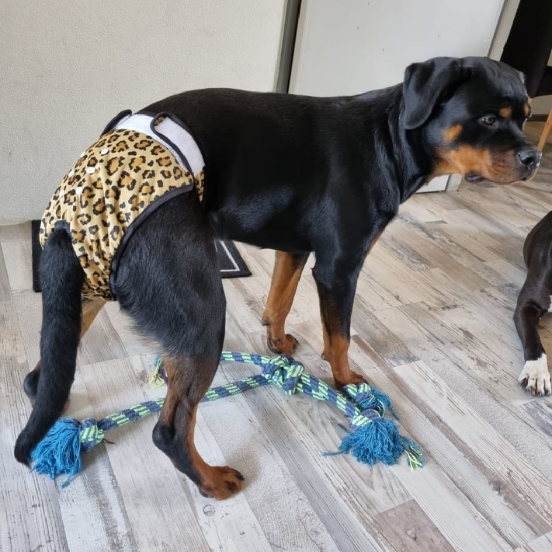 Loopsheidbroekje Leopard