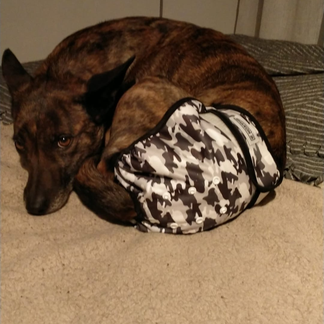 Heat pants camo gray