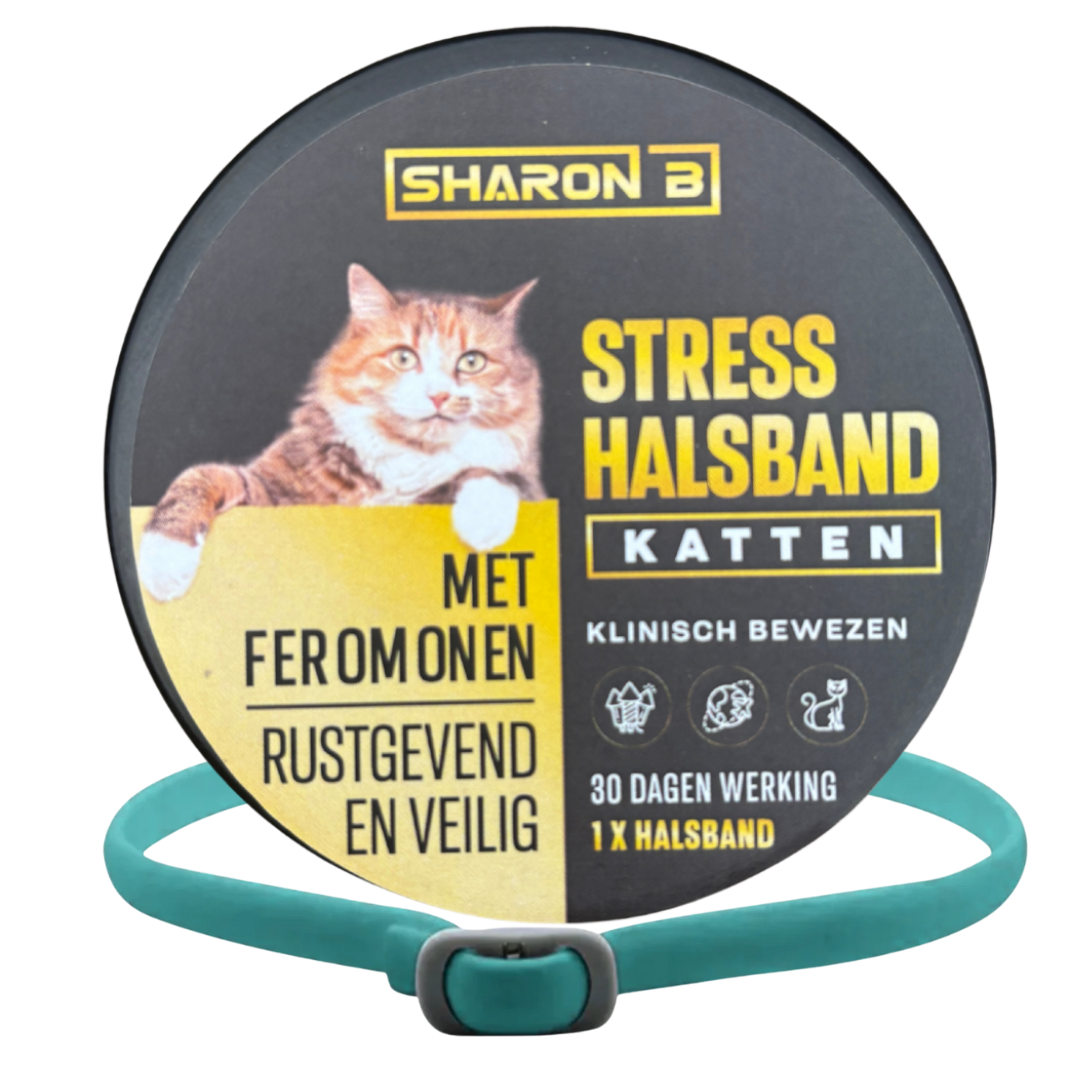 Stresshalsband Kat