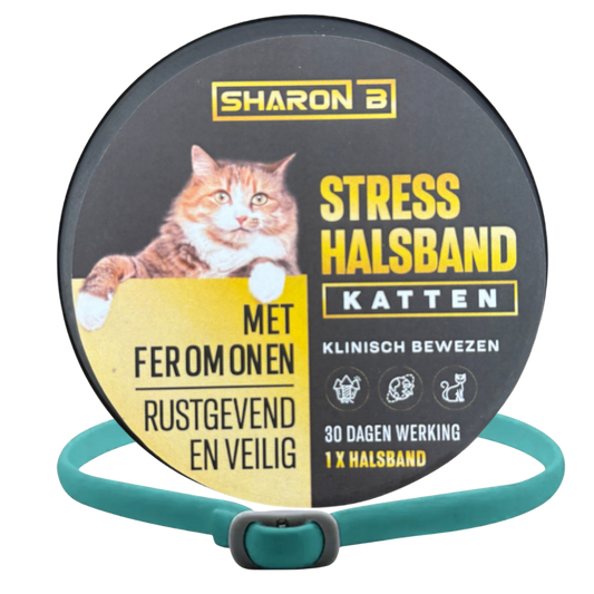 Stresshalsband Kat