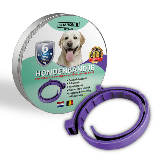Scent collar dog up to 10 kg