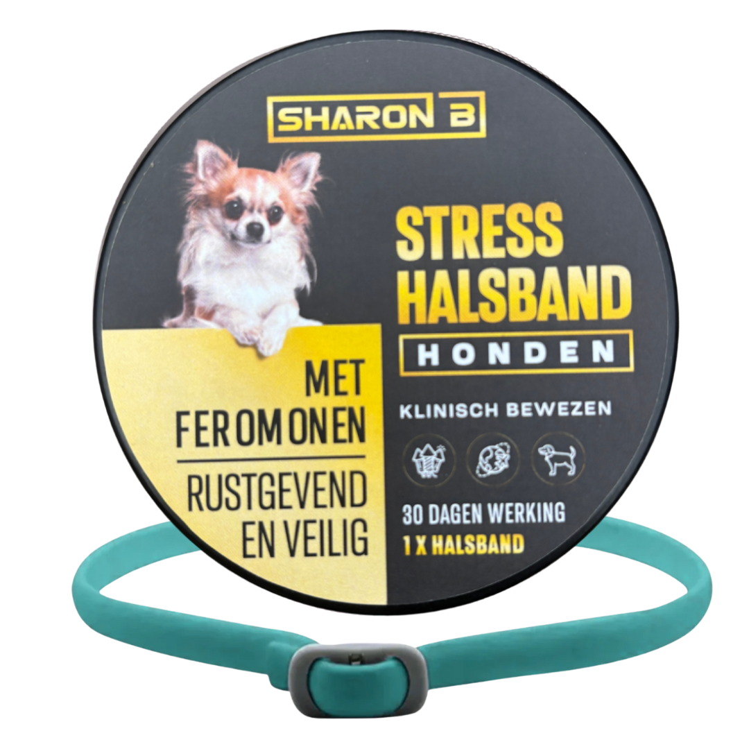 Stresshalsband Hond