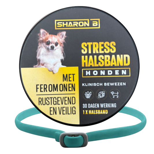 Stresshalsband Hond