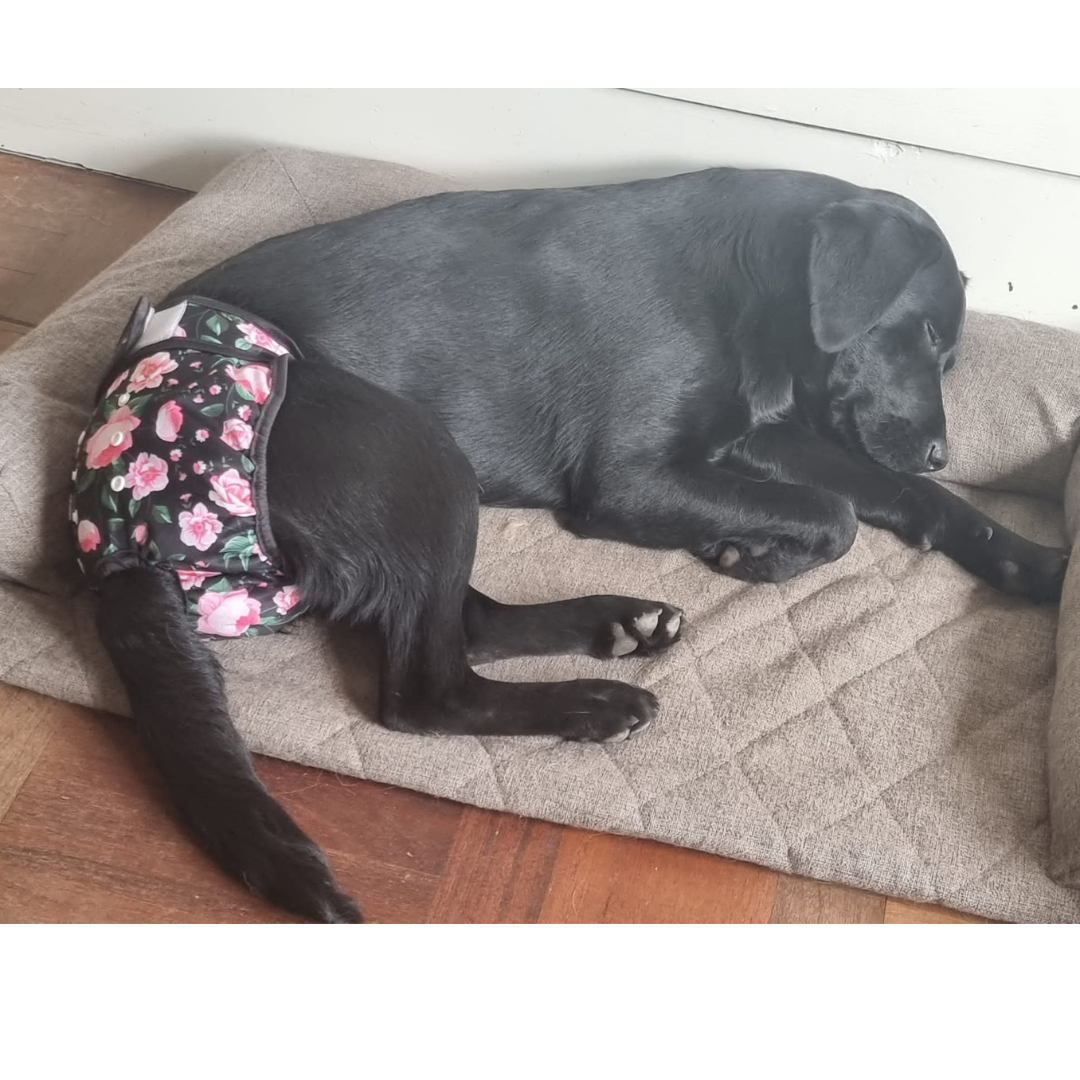 Loopsheidbroekje Roosjes