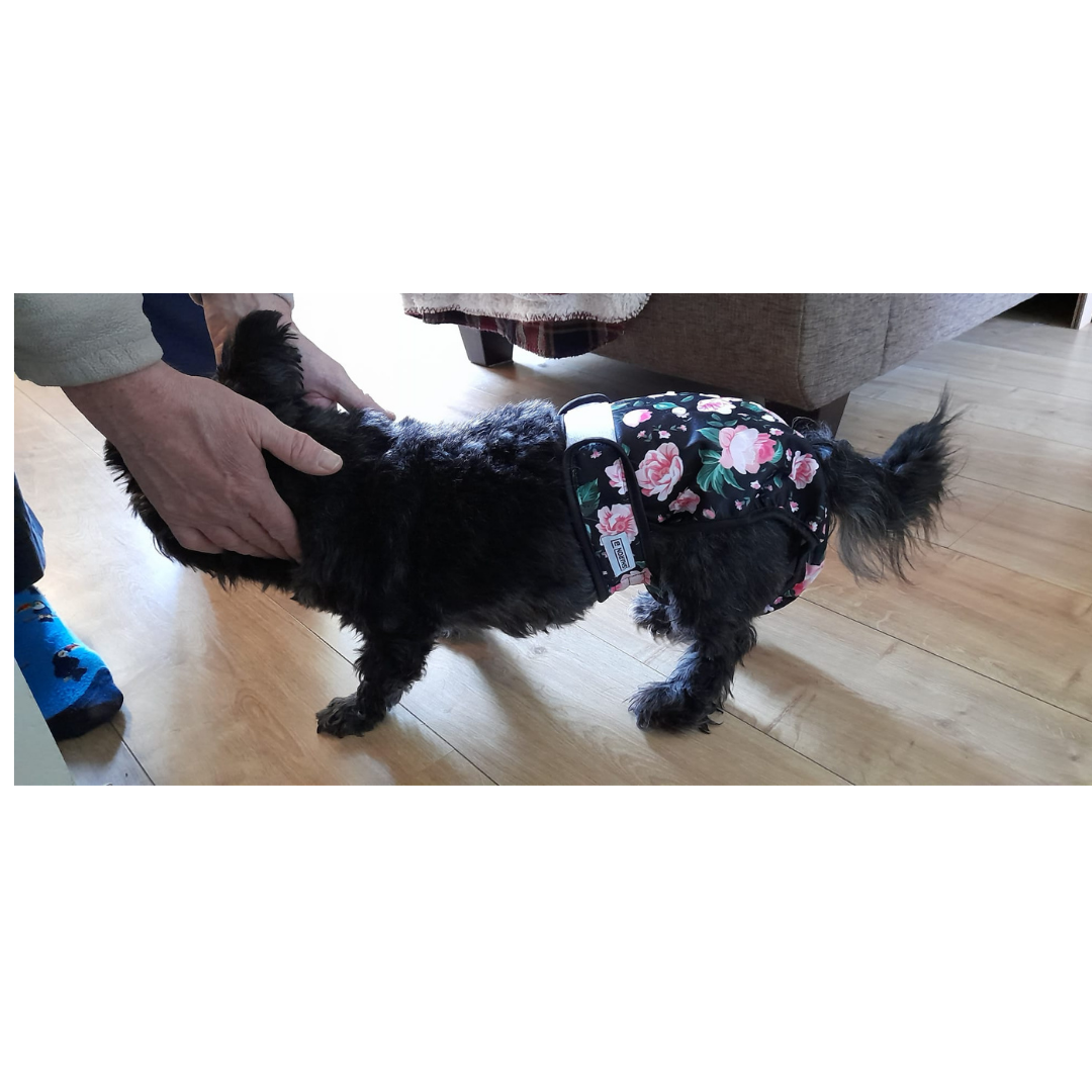 Loopsheidbroekje Roosjes