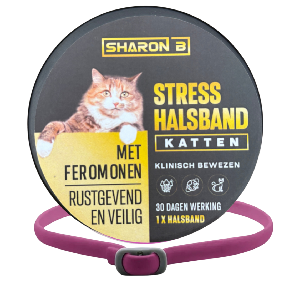 Stresshalsband Kat