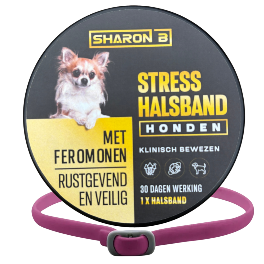 Stresshalsband Hond
