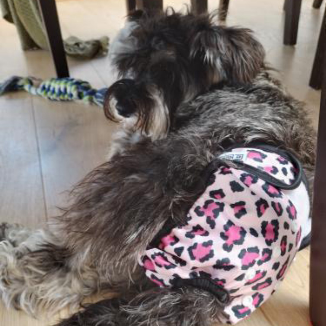 Loopsheidbroekje Leopard Roze