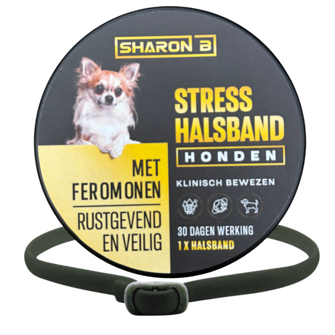Stresshalsband Hond
