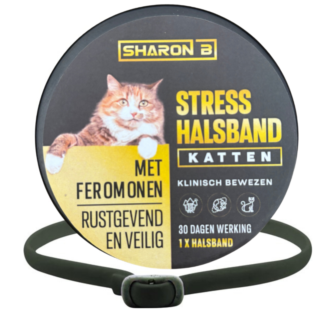 Stresshalsband Kat