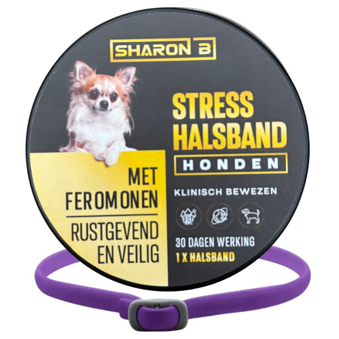 Stresshalsband Hond
