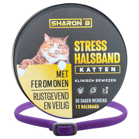 Stresshalsband Kat
