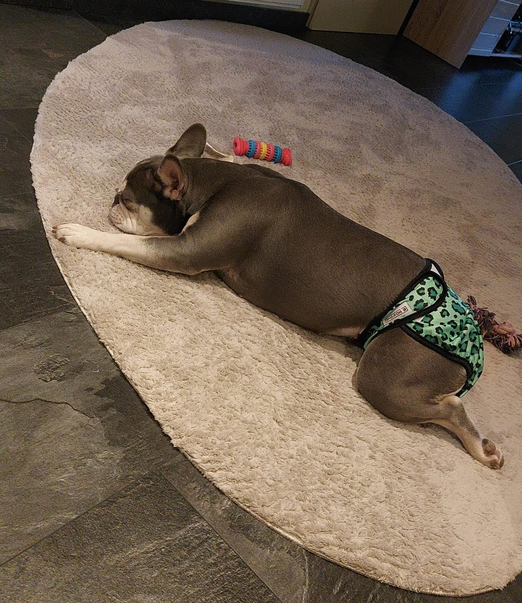 Heat pants Leo green