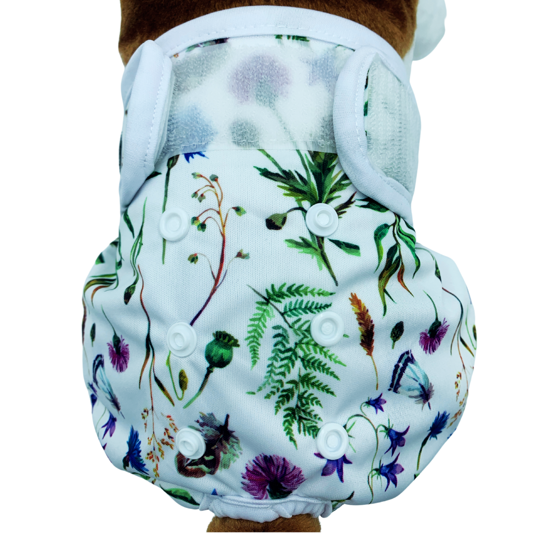 Loopsheidbroekje  Wildflower