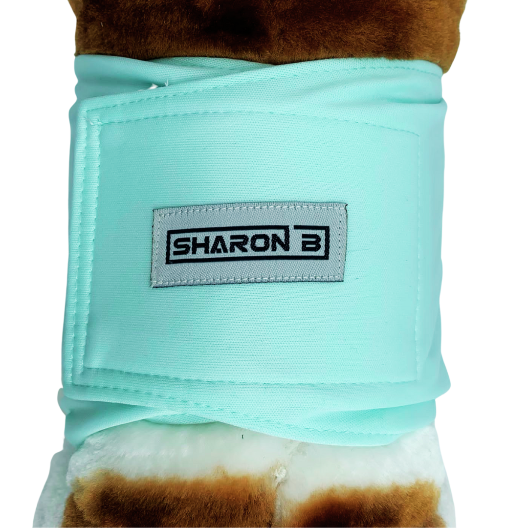 Hondenluier Mint groen