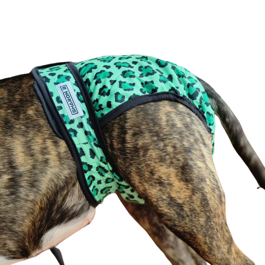 Heat pants Leo green