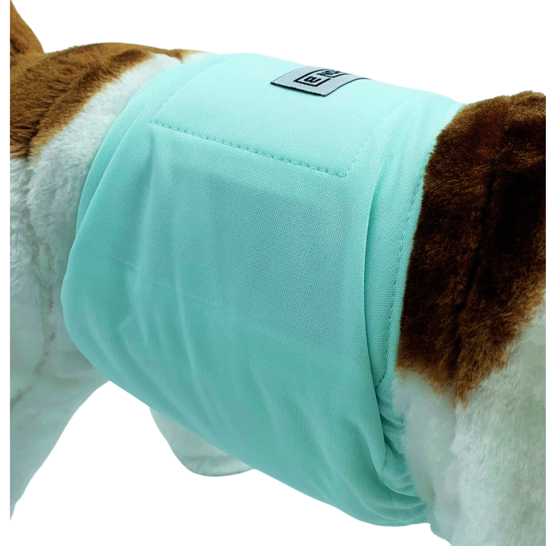 Hondenluier Mint groen