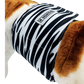 Hondenluier Zebra