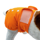 Loopsheidbroekje  Oranje