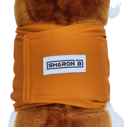 Dog diaper Brown