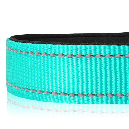 Halsband met veiligheidssluiting - Turquoise - sharonbdesignnl