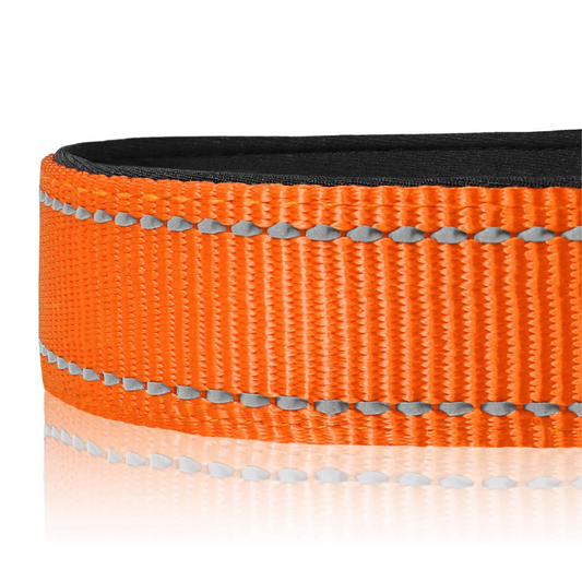 Halsband met veiligheidssluiting - Oranje - sharonbdesignnl