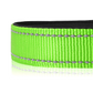 Halsband met veiligheidssluiting - Groen - sharonbdesignnl
